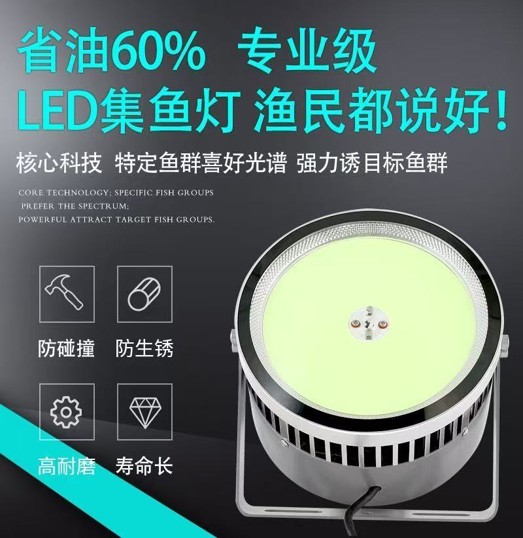 湛江集鱼灯